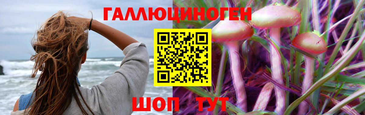 Псилоцибиновые грибы Psilocybe  Псилоцибиновые грибы MAGIC MUSHROOMS  где купить   Вход с VPN  Балтийск 